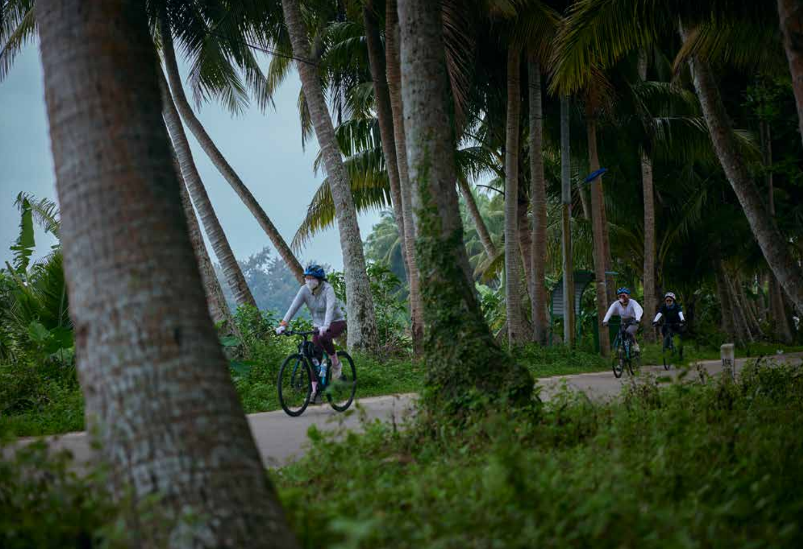 Glamping scene in Hangzhou